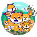 DogeVillage DOGEV cryptocurrency