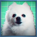 Gabecoin GABECOIN cryptocurrency