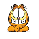 Garfield Token GARFIELD cryptocurrency Garfield Token GARFIELD cryptocurrency