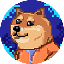 Super Doge Bros DOGEBROS