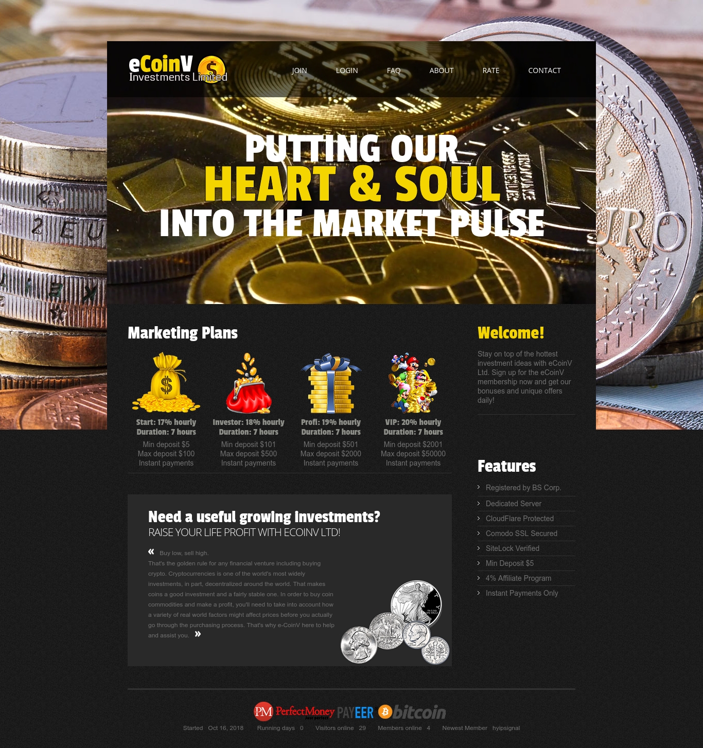 Investment project e-coinv.com