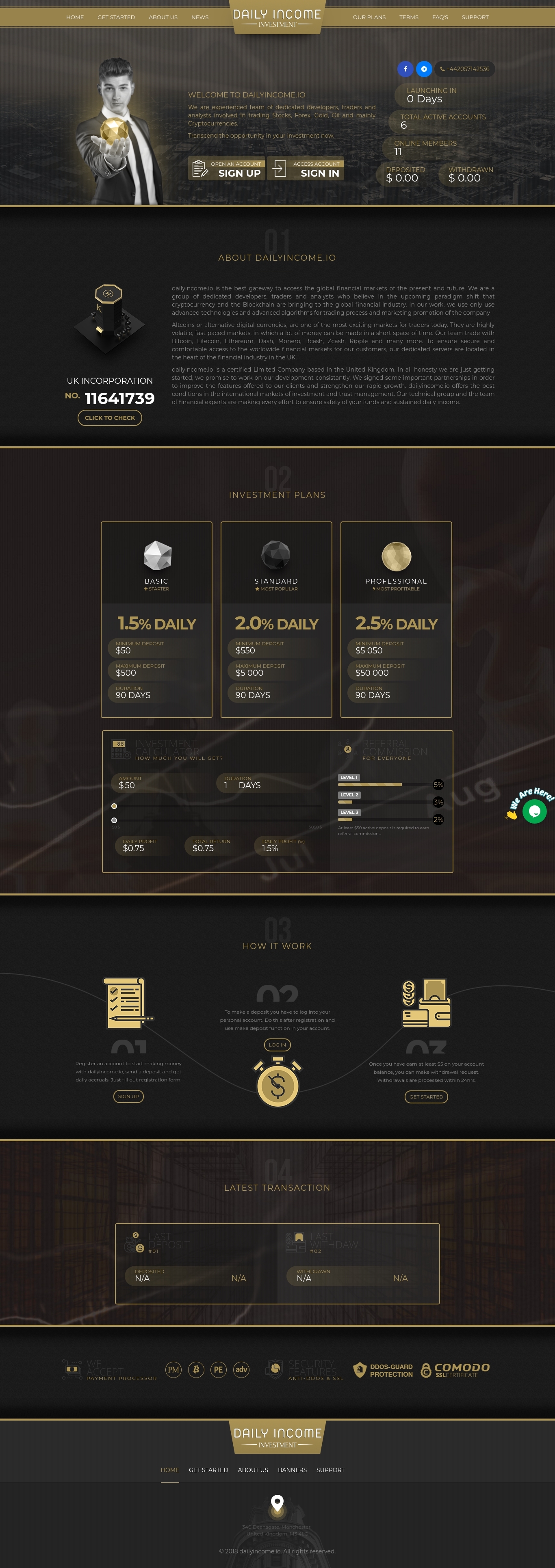 Investment project Daily Income