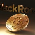 BlackRock Says 1% To 2% Bitcoin Allocation Is Reasonable For Traditional Portfolios