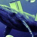Did Ansem Buy Cash Cat (CASHCAT)? $233,000 Wallet Move Raises Questions