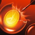 VC Reportedly Rejected Trump Crypto Venture After Steve Witkoff’s Memecoin Blunder