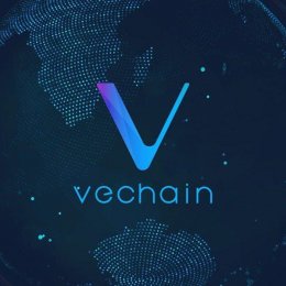 Revisão da Criptomoeda VeChain (VEN)