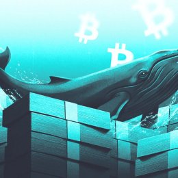 Is Crypto Finally Shrugging Off Iran and AI Hype? Bitcoin and Altcoins Suggest Yes