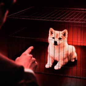 Crypto Trader James Wynn Slams Shiba Inu: ‘SHIB is Old, Dead, and Boring’