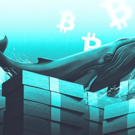 Bitcoin Price Prediction for August 2026: Whales Bet Against a 4-Year Losing Streak